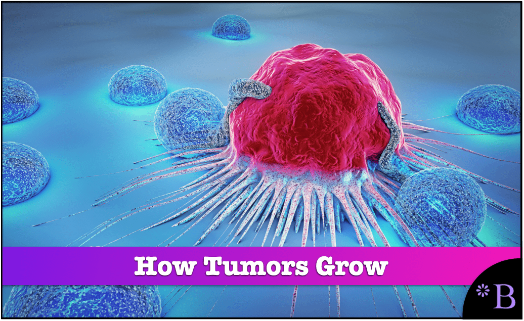 Understanding How Cancerous Tumors Develop Brightwork Research